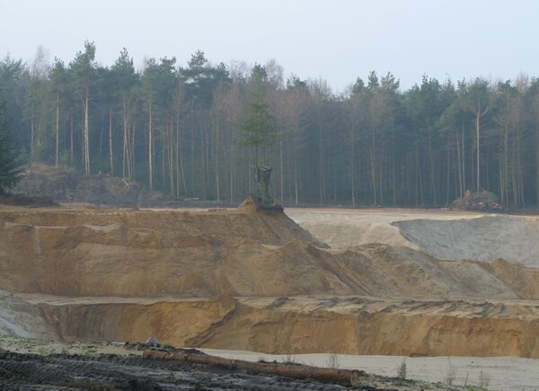 Sandabbau im Börsteler Wald (Foto: M. Schreiber)