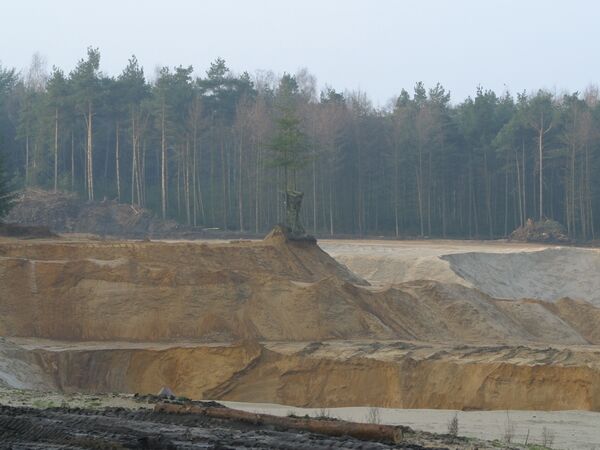 Sandabbau im Börsteler Wald (Foto: M. Schreiber)