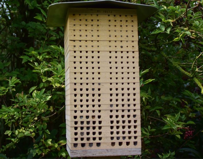 Eine Wildbienennisthilfe mit unterschiedlich großen Lochdurchmessern vor einem Holunderstrauch